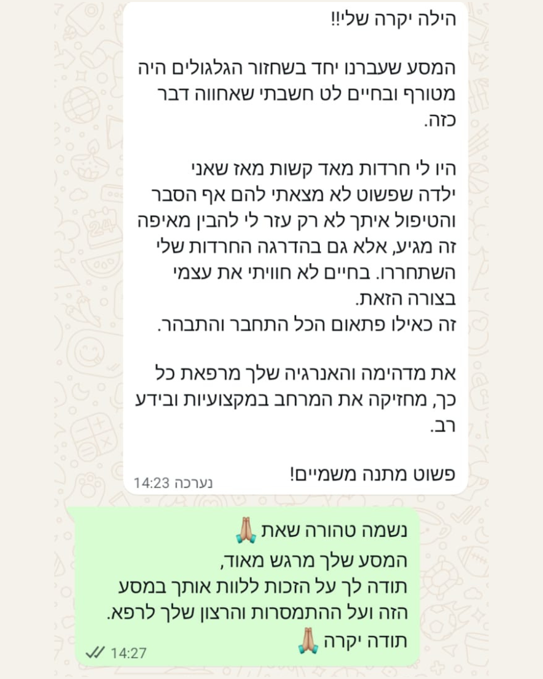 ביקורות
